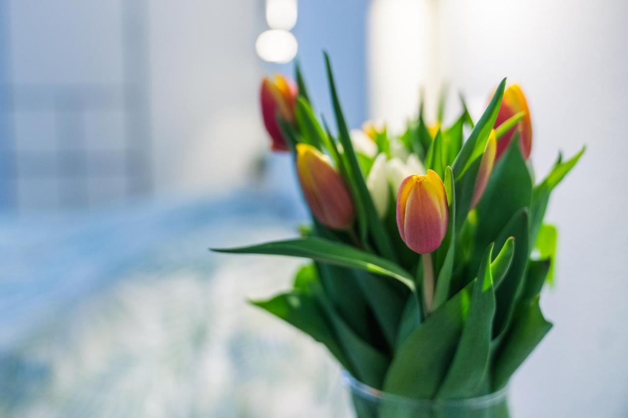 Ruote Apt - Dolcevita Holiday Apartman Firenze Kültér fotó